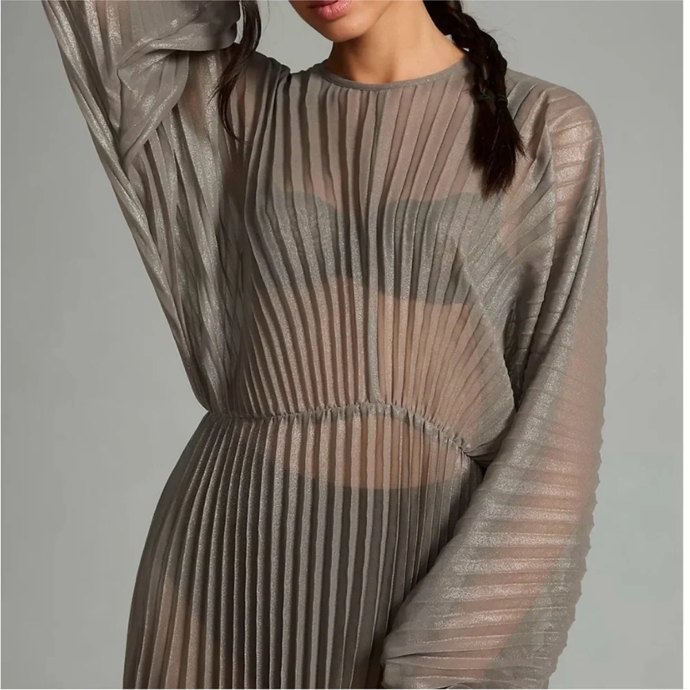 Anthropologie Sheer Pleated Taupe Maxi Dress - Picture 3 of 9